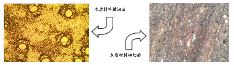 默認標(biāo)題__2023-02-27+15_44_48_副本_副本.jpg